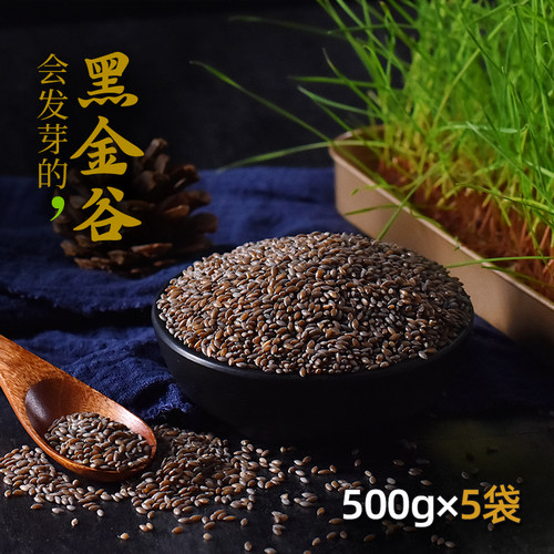 500g血钻黄酮五谷杂粮粥野燕麦