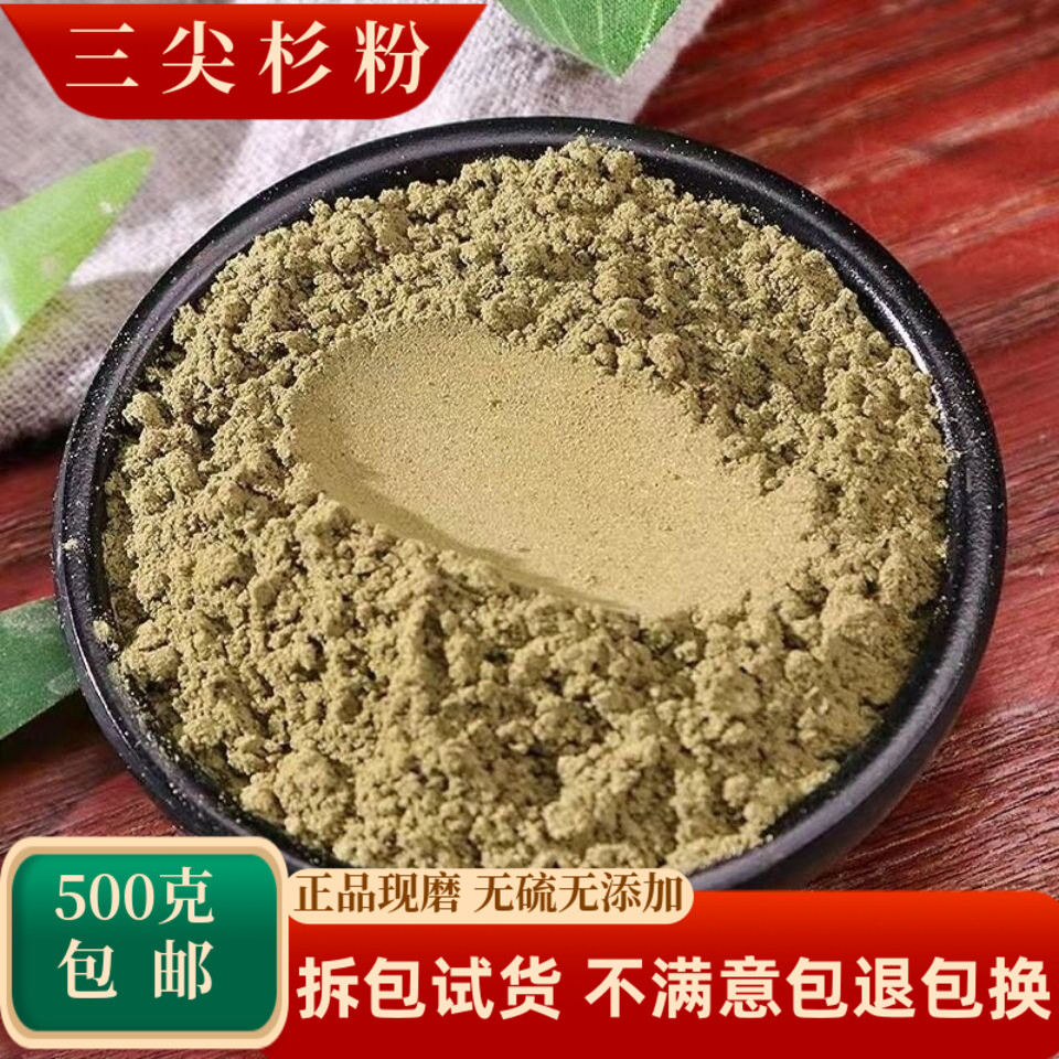 三尖杉中药材榧子血榧石榧三尖松