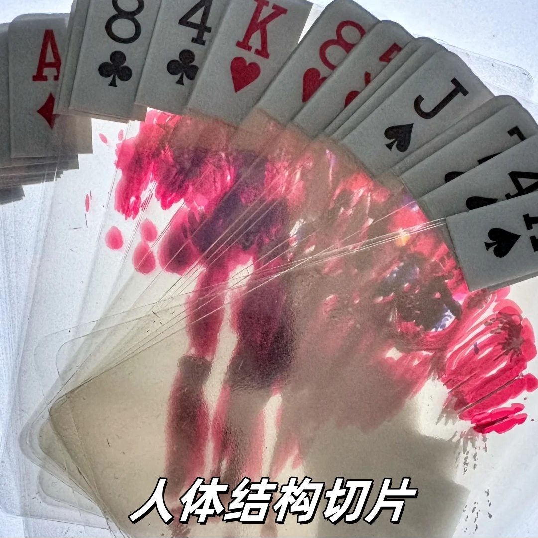 新款人体切片创意骨骼结构扑克牌