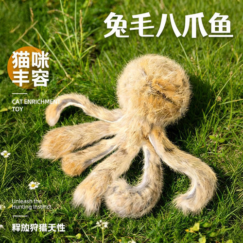 释放天性 互动玩耍