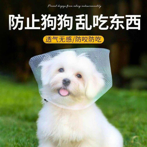 狗狗外出防误食头套防止狗狗吃屎