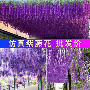 仿真紫藤花塑料假花藤条室内婚庆吊顶装 饰紫罗兰条挂壁吊篮花藤蔓