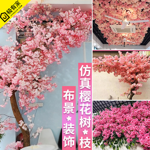 ~网红树怎会如此漂亮　樱花枝