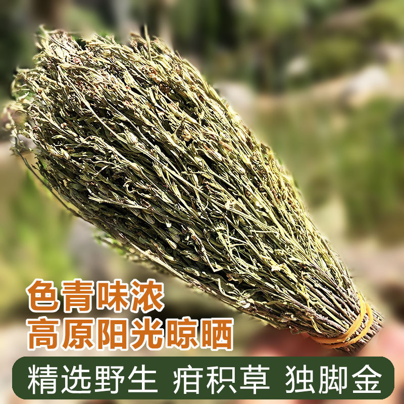 独脚金新货 疳积草小孩儿开胃汤包 清热消食健脾云南干货野生药材