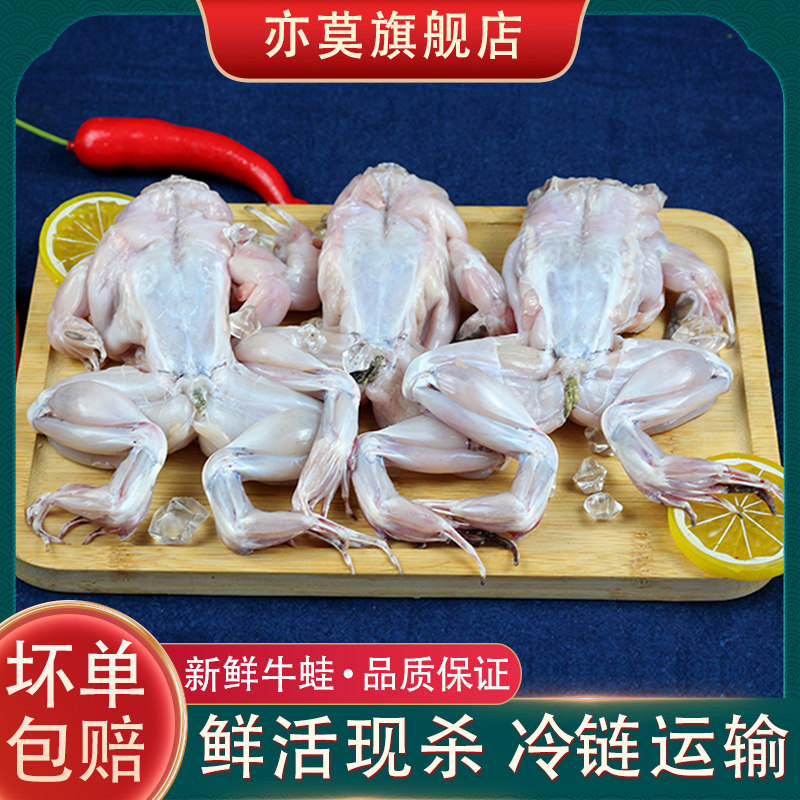 牛蛙鲜活新鲜特大田鸡蛙肉半成品牛蛙腿牛蛙肉冷冻商用石蛙批发