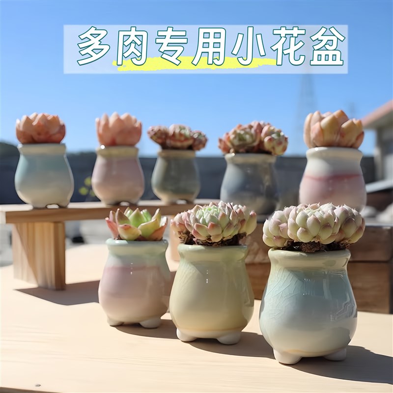 多肉精致小花盆新款个性陶瓷拇指盆透气家用阳台花卉绿植花瓶新款