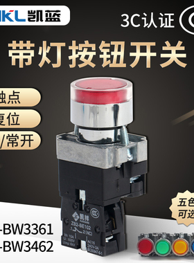自复位带灯平钮按钮 红绿色 XB2-BW3361C XB2-BW3462C 按钮开关