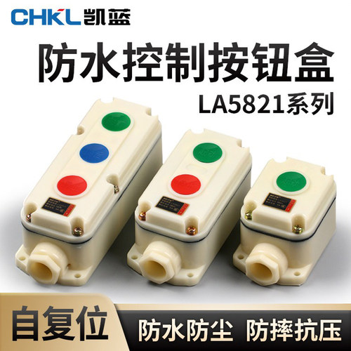 电源启停防腐按钮开关