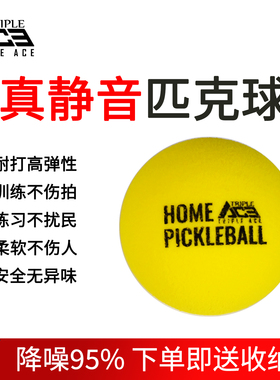 TripleAce三锋艾斯静音匹克球26/40孔室内外Pickleball专业训练球
