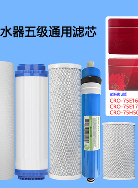 适用于长虹牌净水器滤芯CRO-75E16XQ/75E17XQ/H501通用滤芯配件