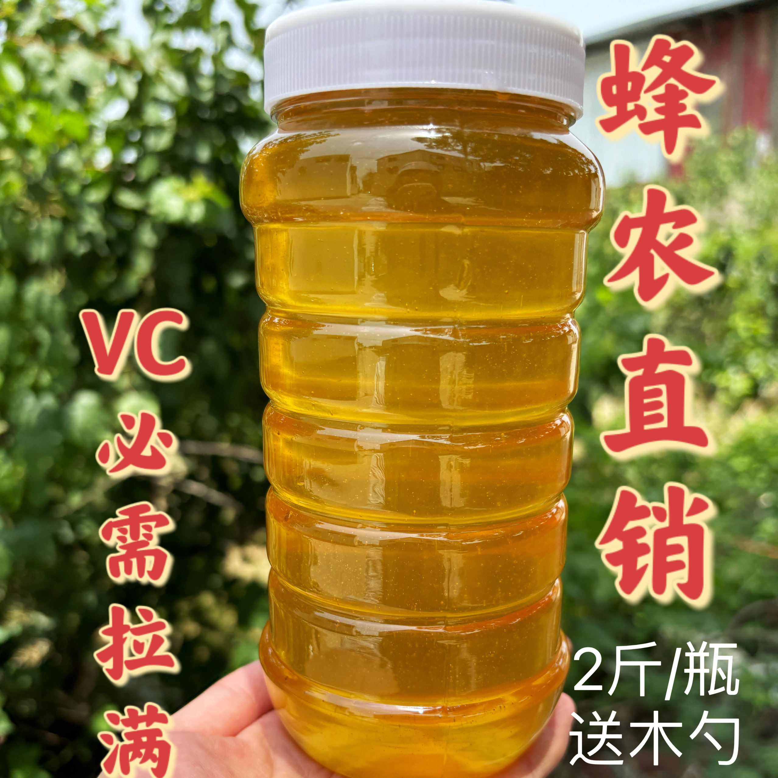 柑橘蜂蜜2025年农家自产新鲜成熟橘子蜜桔子蜜柑橘花蜜2斤橙花蜜