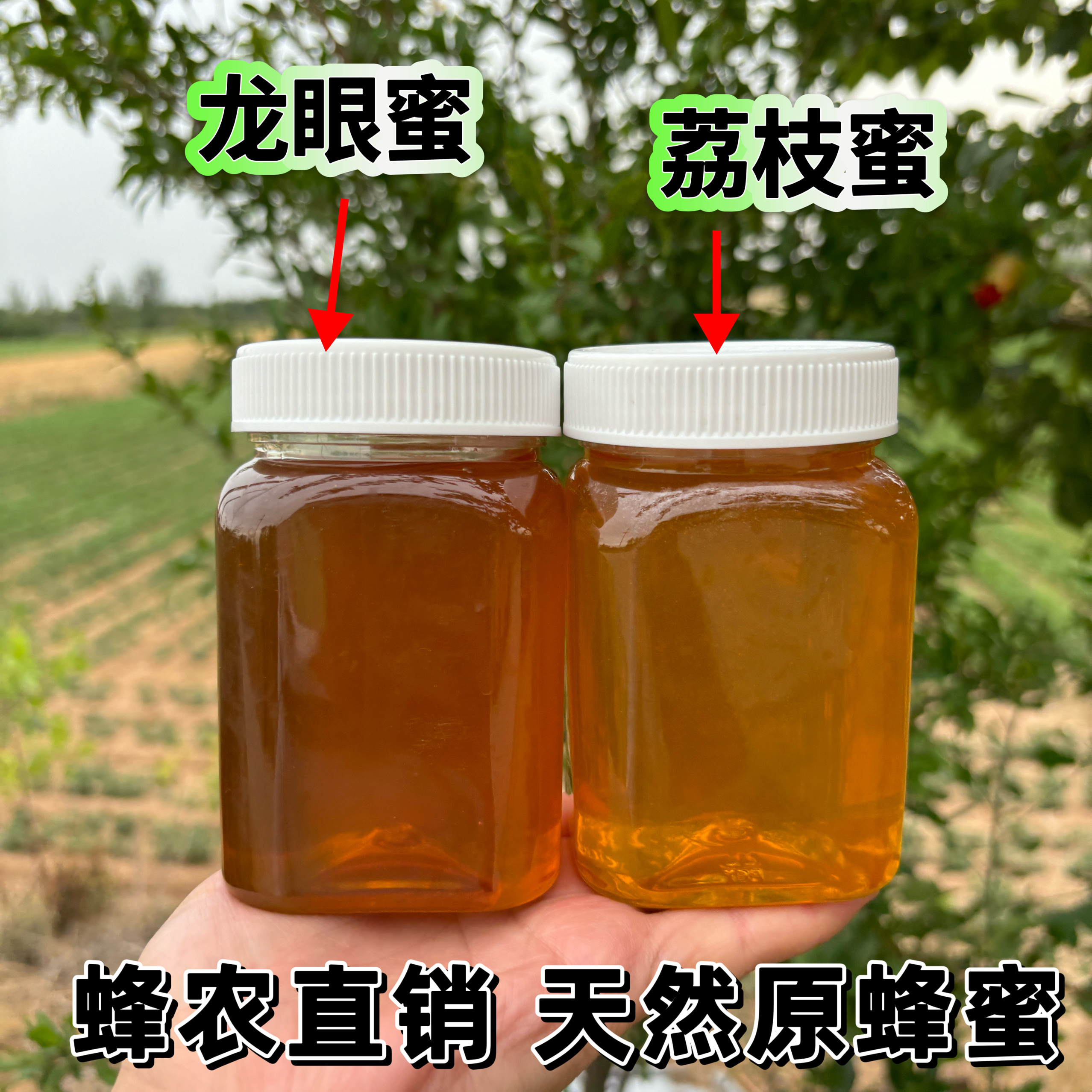龙眼蜜纯正荔枝蜜天然农家自产桂圆蜂蜜无添加孕妇儿童老人滋补