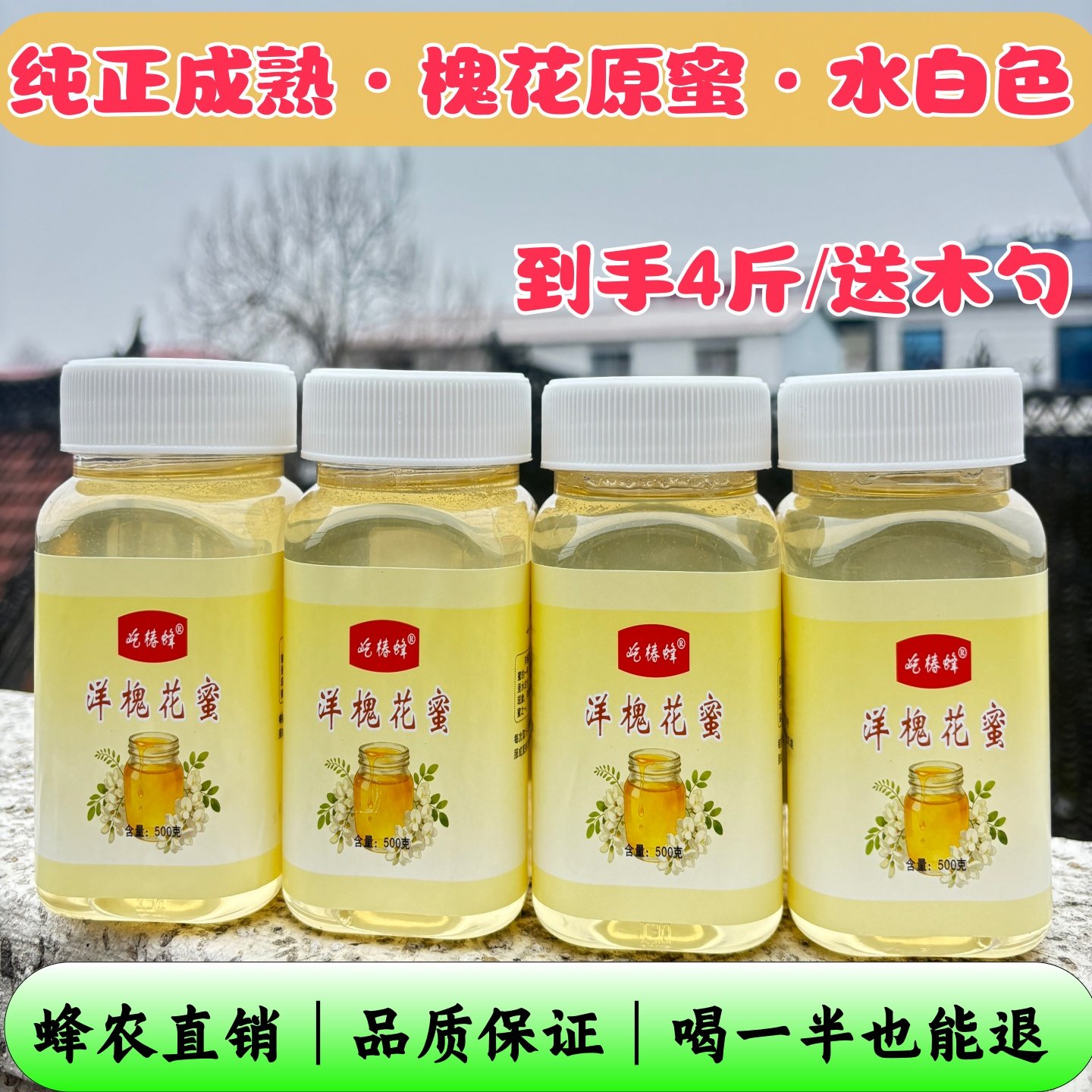 槐花蜜洋槐蜜深山天然野生槐树洋槐蜂蜜花蜜正宗原装蜜假一赔十