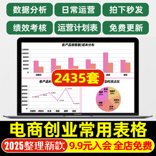 淘宝天猫电商运营店铺管理数据分析年度报表计划周报表excel表格