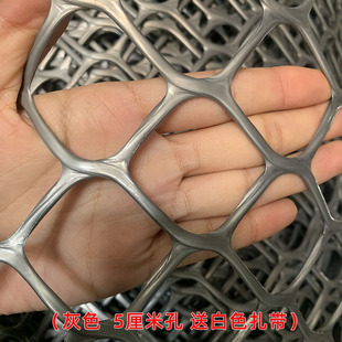 家用阳台防护大孔网封窗养猫咪塑料网儿童防坠安全网加厚爬藤网