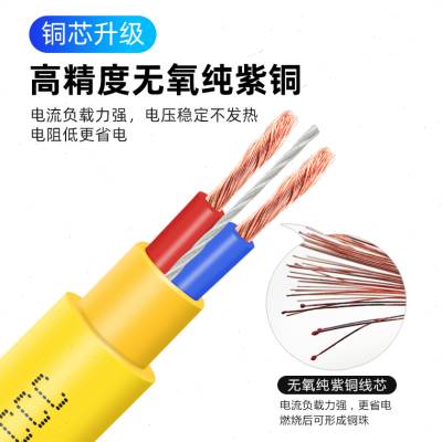 纯铜电线软线家用电缆线户外2芯15 25 4 6平方护套线电源延长线