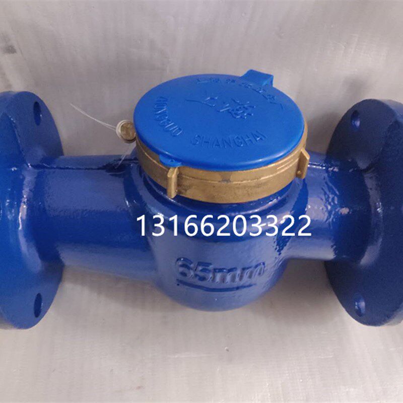 上海沪光五金厂 上海牌水表 法兰旋翼式热水表DN50-DN100价格