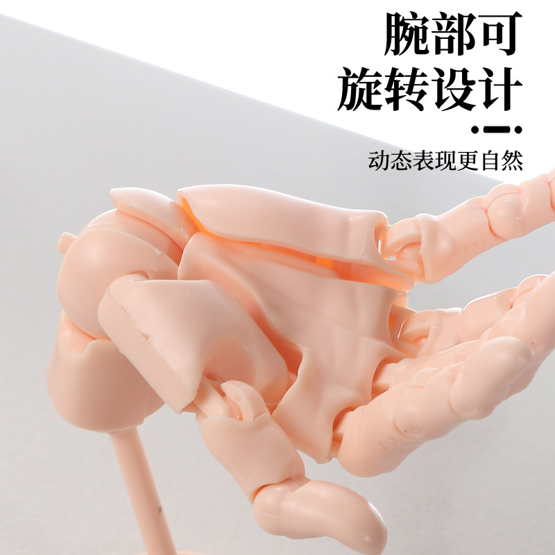 手掌模型标准画画素描手掌