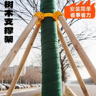 杨木支撑固定器杉木松木杨木棍园林绿化防风防倒支撑架杆稳定树木