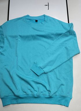 任意2件包邮外贸原单湖蓝色女士圆领毛圈套头卫衣