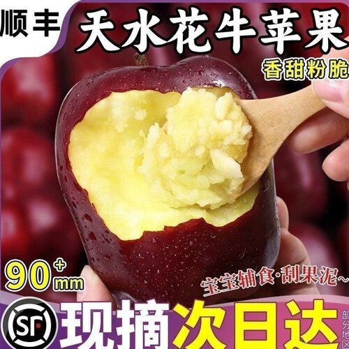 顺丰正宗甘肃天水花牛苹果蛇红果小孩老人粉脆面沙甜苹果新鲜水果
