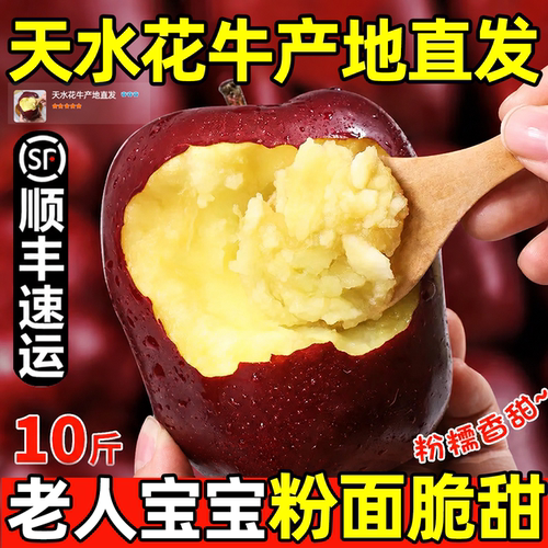 正宗甘肃天水花牛苹果蛇红果小孩老人面粉脆沙甜苹果新鲜水果10斤