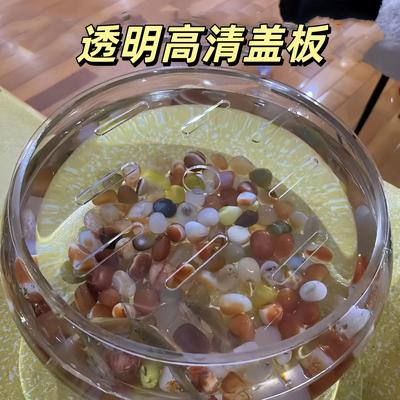 高清圆形鱼缸盖板打孔防跳