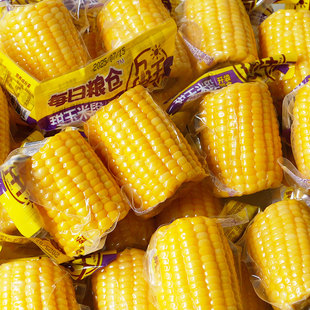 每日粮仓玉米段甜脆玉米棒开袋即食宿舍半截免煮学生真空休闲零食