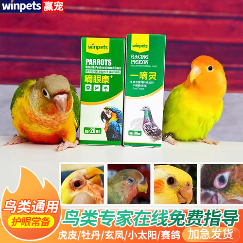 赢宠鹦鹉一嘀灵牡丹玄风虎皮小太阳鹦鹉单眼伤风期营养补充鸟用品