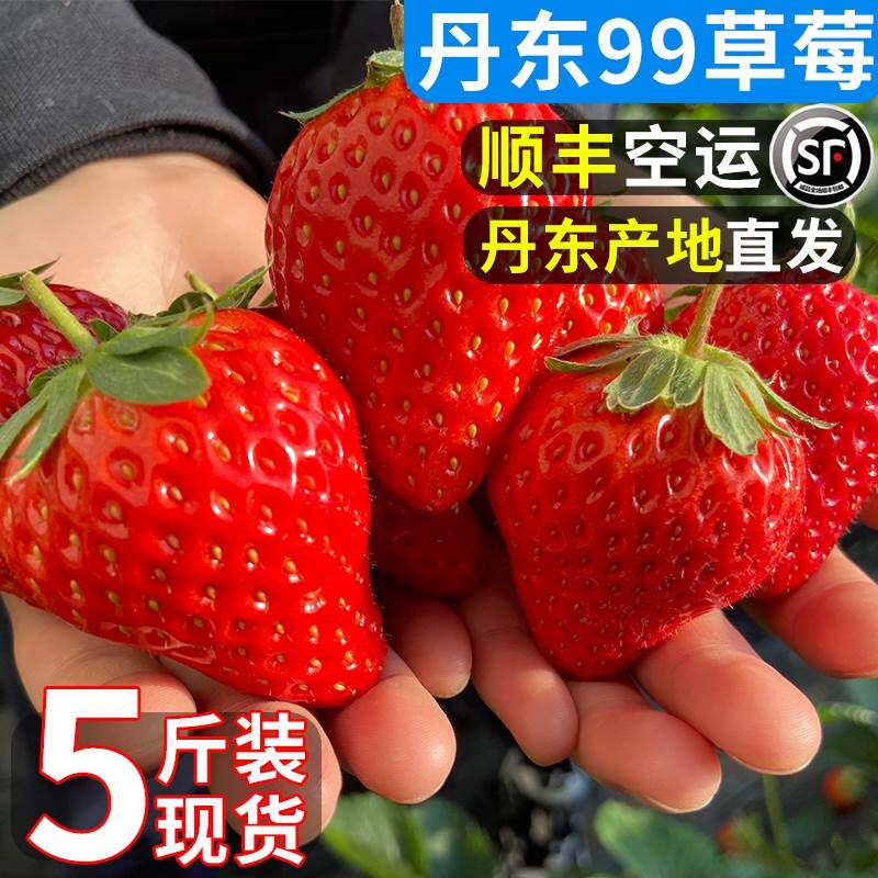 顺丰空运丹东99草莓红颜新鲜现摘牛奶东港九九奶油水果大草梅当季怎么看?