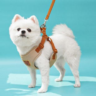 可爱小熊胸背带可牵引宠物牵引绳中小型狗狗外出泰迪比熊猫咪通用