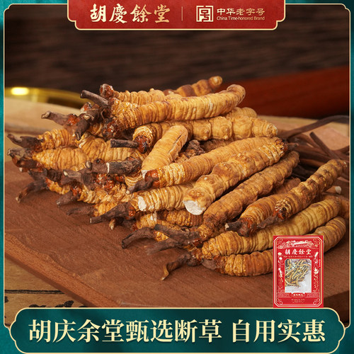 【断草】胡庆余堂冬虫夏草高品质冻干虫草10g自用划算地号32#