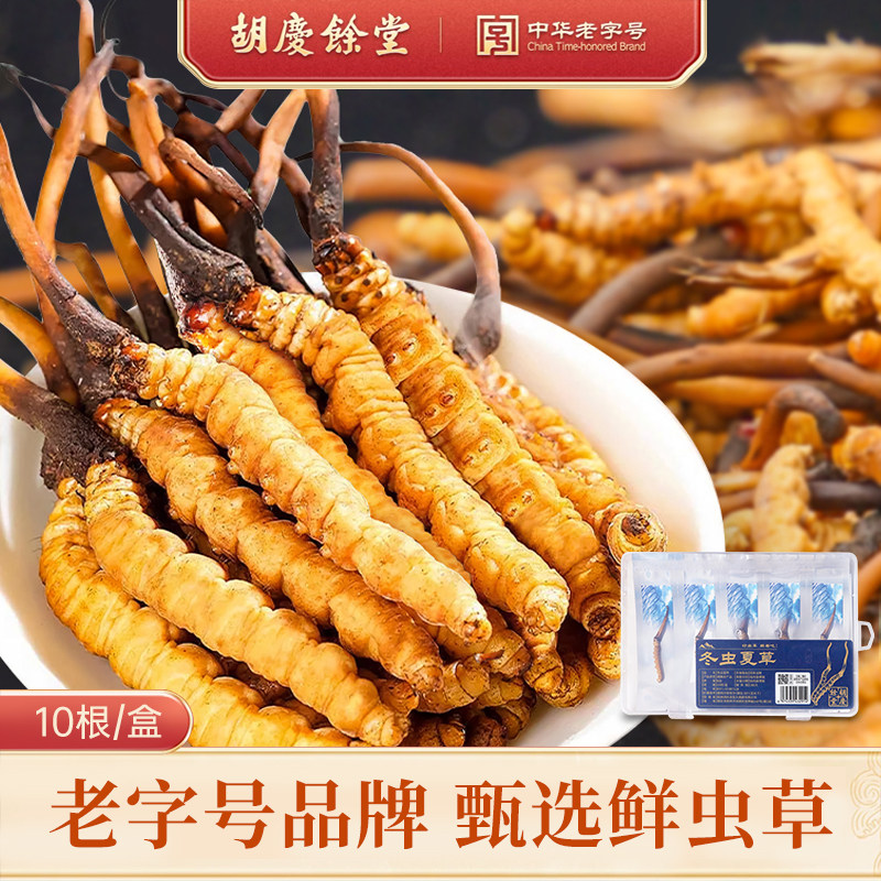 【鲜冬虫夏草】胡庆余堂鲜冬虫夏草青藏高原产地直发顺丰冷链