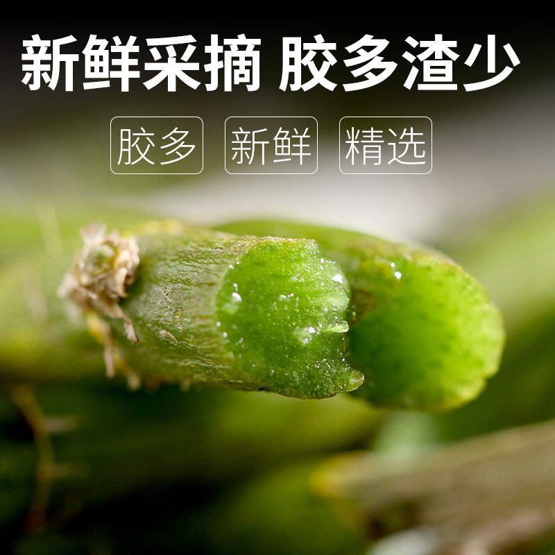 正宗林下种植霍山米斛鲜条米斛干条寸金食用铁皮石斛枫斗花苗石斛
