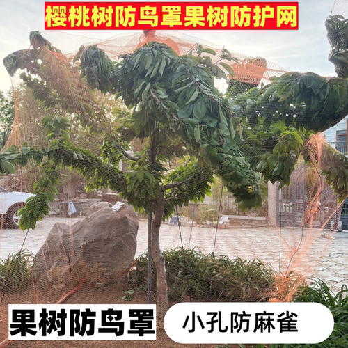 防麻雀网防小鸟网抗晒耐用结实防