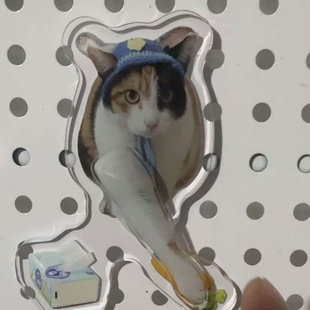 【现货包邮】开门小猫萝卜纸巾真棒察言观色旋转亚克力冰箱贴