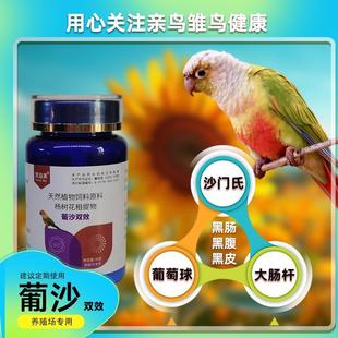 鹦鹉沙门氏菌葡萄球菌拉稀水便黄白绿稀便腹泻粪便成型肠道调理