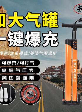 【名阳】爆充高压打气筒自行车电动车汽车充气通用真空胎专用打气