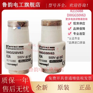 罗兰FERRAZ熔断器 MERSEN法雷DIAZED DIIIGG50V63 500V 63A GL/GG
