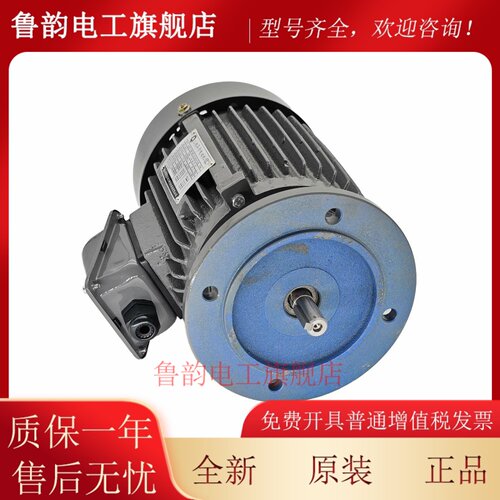 台湾ADLEEPOWER爱德利立式电机AEVF1/2HP4P370W三相异步电动机ACO