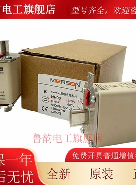 罗兰ferraz保险管熔断器 NH00GG50V125 NH00GG50V160 500V 125A