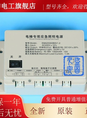 奥的斯电梯EMA25300F5江南快速对讲M3专用应急照明电源EMA25300B9