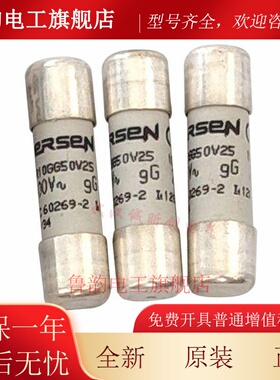 施耐德保险丝DF2CN01/02/04/06/08/10/12/16/20/25/32 1A2A6A10A