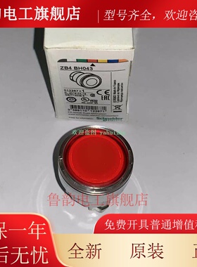 ZB4BH013/033/ ZB4BH043/053/063 ZB4BH083 施耐德自锁按钮头