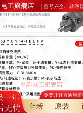 邵阳维克液压轴向柱塞泵SY-10/25/32/40/63/80/100/125YCY14-1E/B