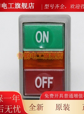 原装正品tend天得双联日字开关带灯TN2IT20-N1AB按键开关开孔22mm