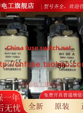 Rs31 Ngtc00 40A 500V 50A 63A 80A 100A天洲电器集团公司保险丝