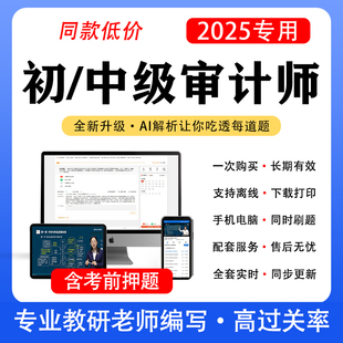 2025初级中级审计师网课押题真题库三色笔记高级教材历年卷2024年