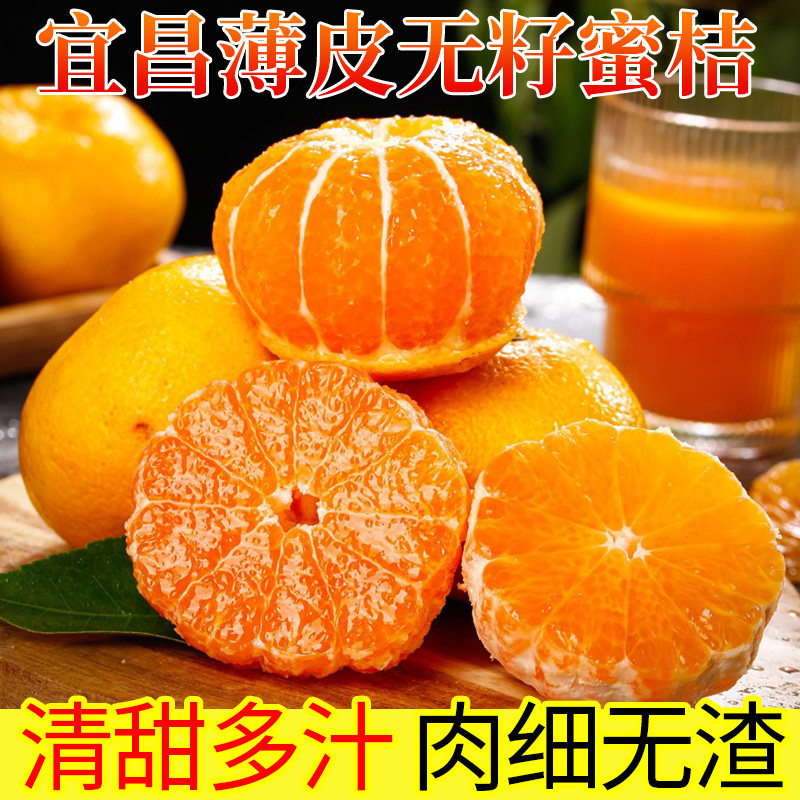 宜昌正宗青皮蜜橘无籽蜜桔当季水果时令新鲜柑橘橘子桔子现摘鲜果