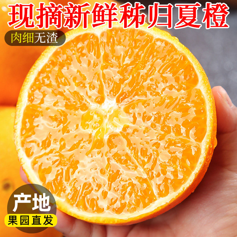 正宗秭归夏橙湖北当季现摘水果新鲜榨汁橙子应季整箱多汁薄皮橙